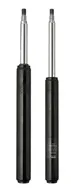 ZEIK front shock absorbers and strut cartridges